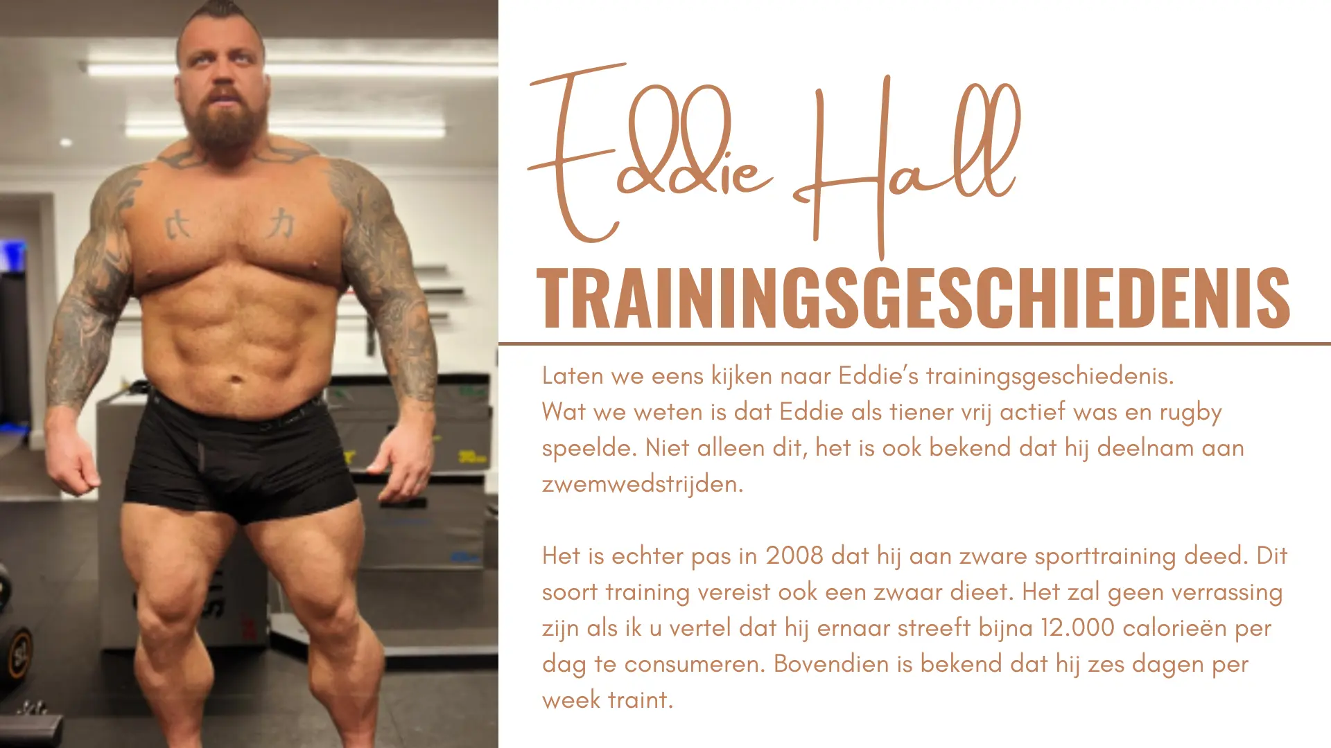 Eddie Hall trainingsgeschiedenis