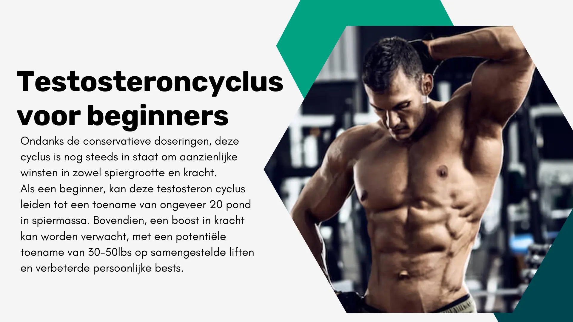 Testosteroncyclus voor beginners