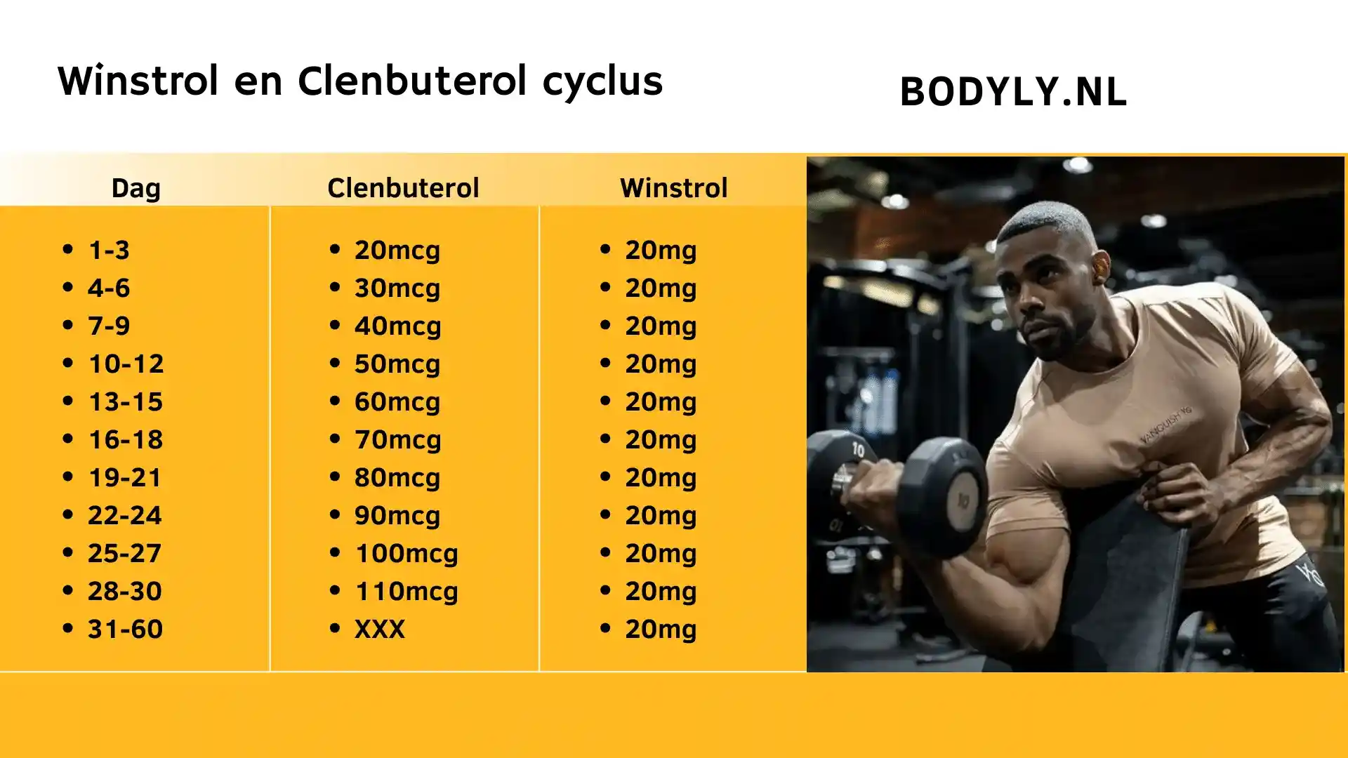 Winstrol Cyclus