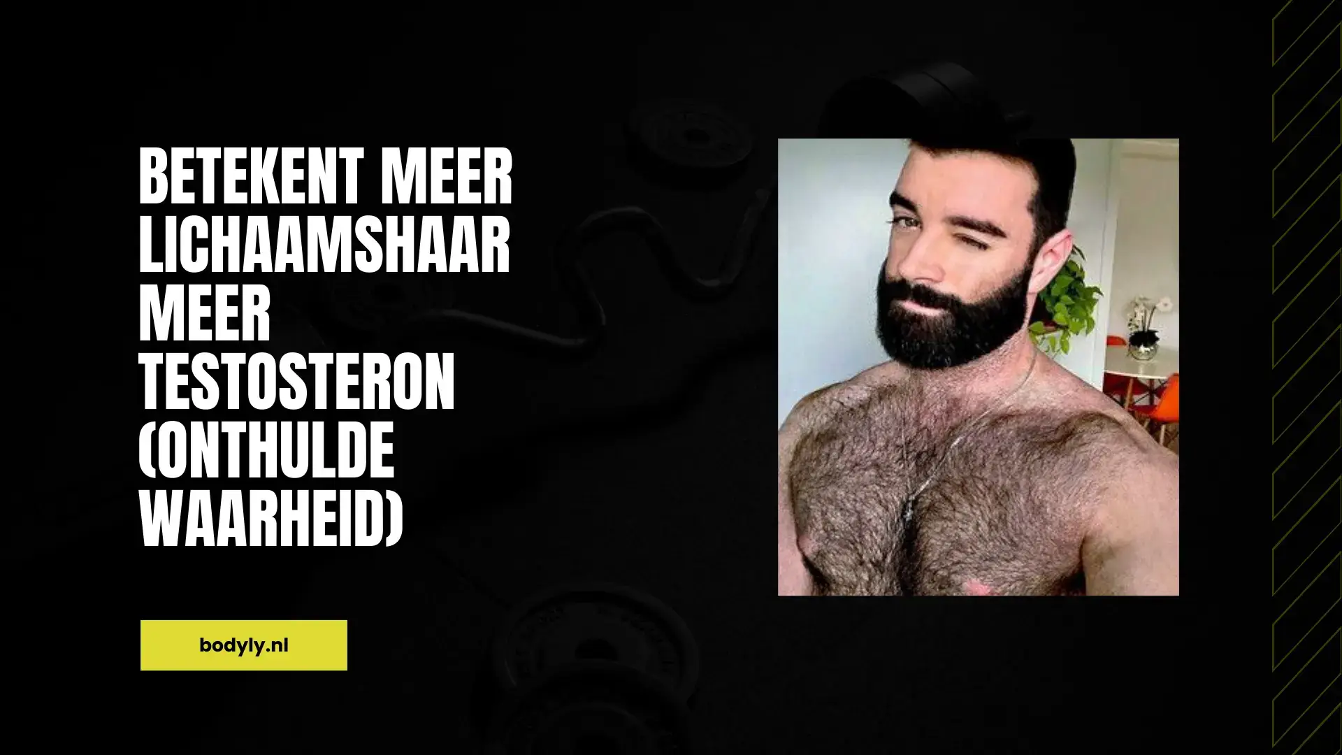 Betekent Meer Lichaamshaar Meer Testosteron