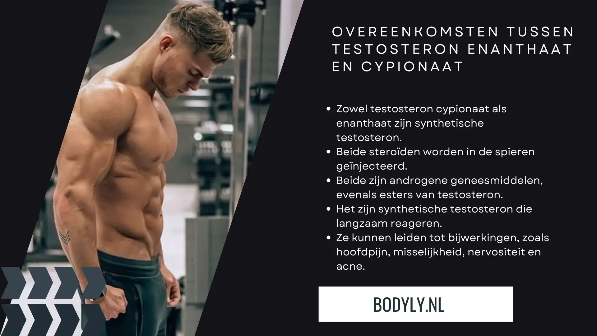 Testosteron enanthaat vs cypionaat