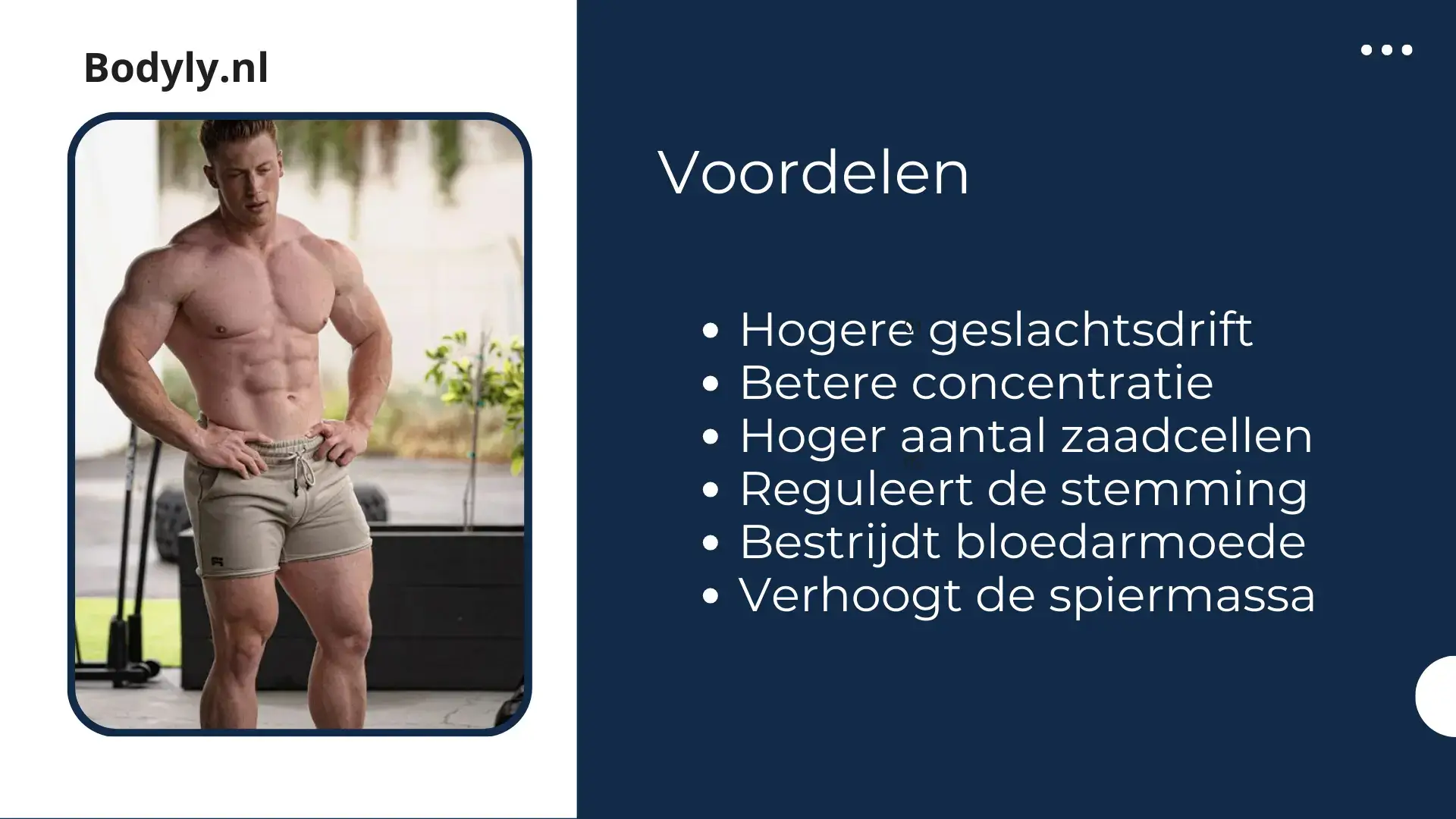 voordelen