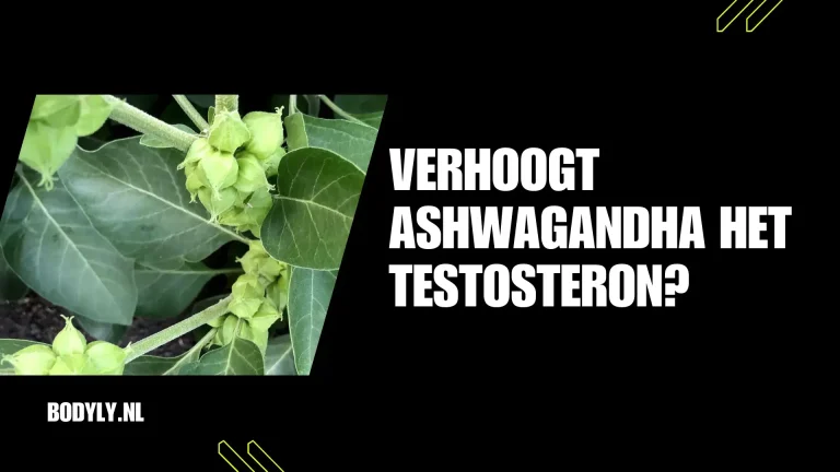 Verhoogt Ashwagandha het testosteron